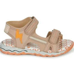 Citrouille et Compagnie - WAYO