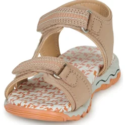 Citrouille et Compagnie - WAYO