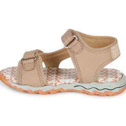 Citrouille et Compagnie - WAYO