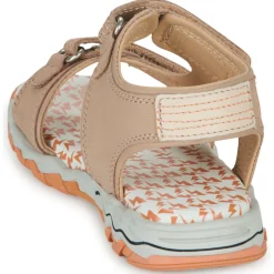 Citrouille et Compagnie - WAYO