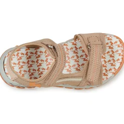 Citrouille et Compagnie - WAYO