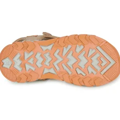 Citrouille et Compagnie - WAYO