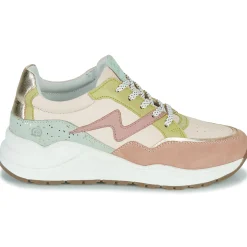 Citrouille et Compagnie - MILKO