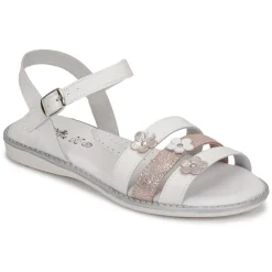 Citrouille et Compagnie - KATAGUE