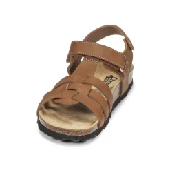 Citrouille et Compagnie - JANISOL