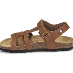 Citrouille et Compagnie - JANISOL