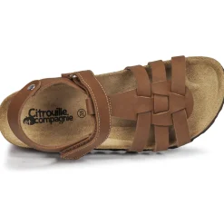 Citrouille et Compagnie - JANISOL