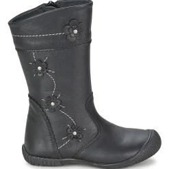 Citrouille et Compagnie - AMATIS