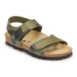 Citrouille et Compagnie - BELLI JOE