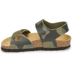 Citrouille et Compagnie - BELLI JOE