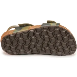 Citrouille et Compagnie - BELLI JOE