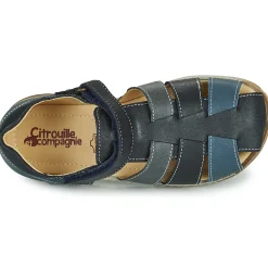 Citrouille et Compagnie - FRINOUI