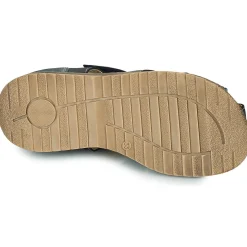 Citrouille et Compagnie - FRINOUI