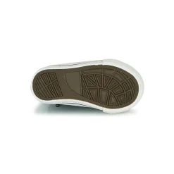 Citrouille et Compagnie - OUTIL