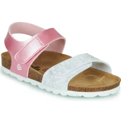 Citrouille et Compagnie - BELLI JOE