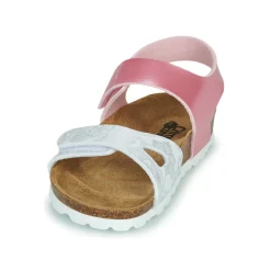 Citrouille et Compagnie - BELLI JOE