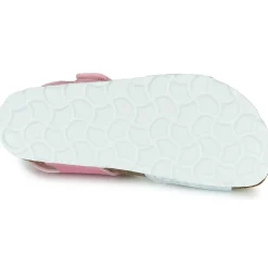 Citrouille et Compagnie - BELLI JOE