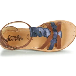 Citrouille et Compagnie - GITANOLO