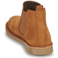 Citrouille et Compagnie - HOUVETTE