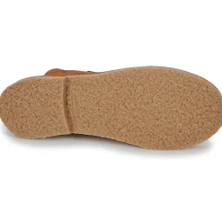 Citrouille et Compagnie - HOUVETTE