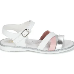 Citrouille et Compagnie - IZOEGL