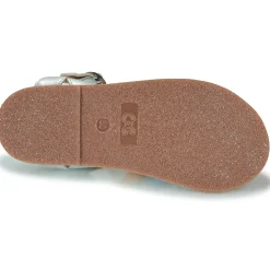 Citrouille et Compagnie - INALA