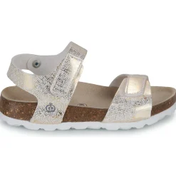 Citrouille et Compagnie - PISTAMI