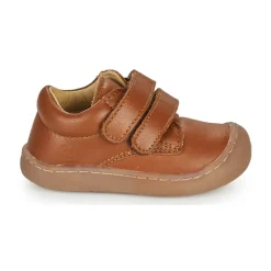 Citrouille et Compagnie - PIOTE