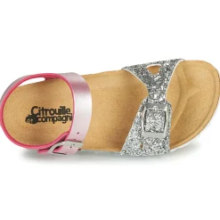 Citrouille et Compagnie - RELUNE