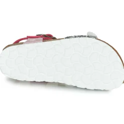 Citrouille et Compagnie - RELUNE