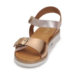 Citrouille et Compagnie - PAULO