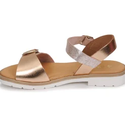 Citrouille et Compagnie - PAULO