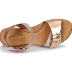 Citrouille et Compagnie - PAULO