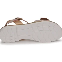 Citrouille et Compagnie - PAULO