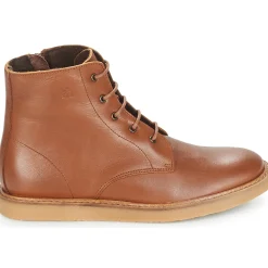 Citrouille et Compagnie - HATINE