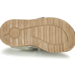 Citrouille et Compagnie - ZIDOU