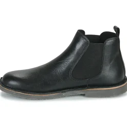 Citrouille et Compagnie - HOUVETTE