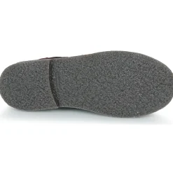 Citrouille et Compagnie - HOUVETTE