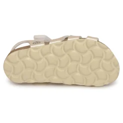 Citrouille et Compagnie - OKILIA