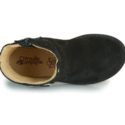 Citrouille et Compagnie - NESTI