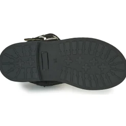 Citrouille et Compagnie - NESTI