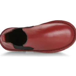 Citrouille et Compagnie - HOUVETTE