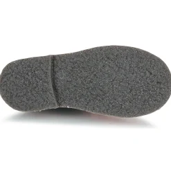 Citrouille et Compagnie - HOUVETTE