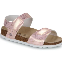 Citrouille et Compagnie - PISTAMI