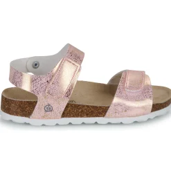 Citrouille et Compagnie - PISTAMI