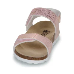 Citrouille et Compagnie - PISTAMI