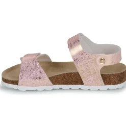 Citrouille et Compagnie - PISTAMI