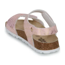 Citrouille et Compagnie - PISTAMI