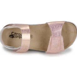 Citrouille et Compagnie - PISTAMI