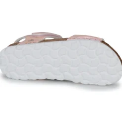 Citrouille et Compagnie - PISTAMI